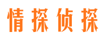 新干市调查公司